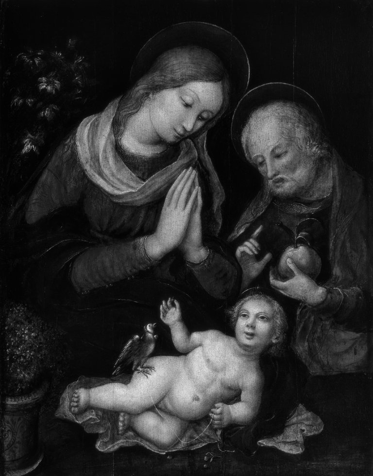 Sacra Famiglia (dipinto, opera isolata) di Liberale da Verona (cerchia) (seconda metà sec. XV)