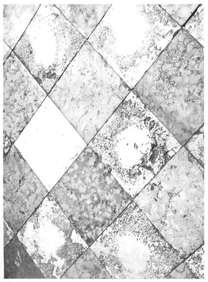 pavimento - ambito veneto (sec. XVIII)