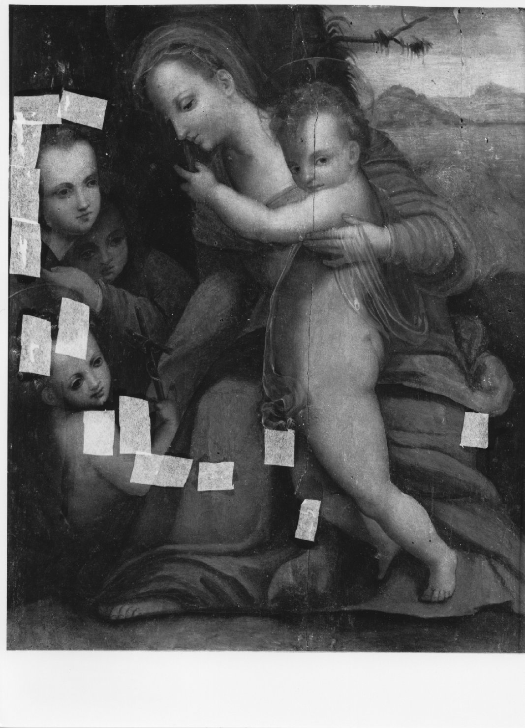 Madonna con Bambino e San Giovannino (dipinto) - ambito italiano (prima metà sec. XVI)
